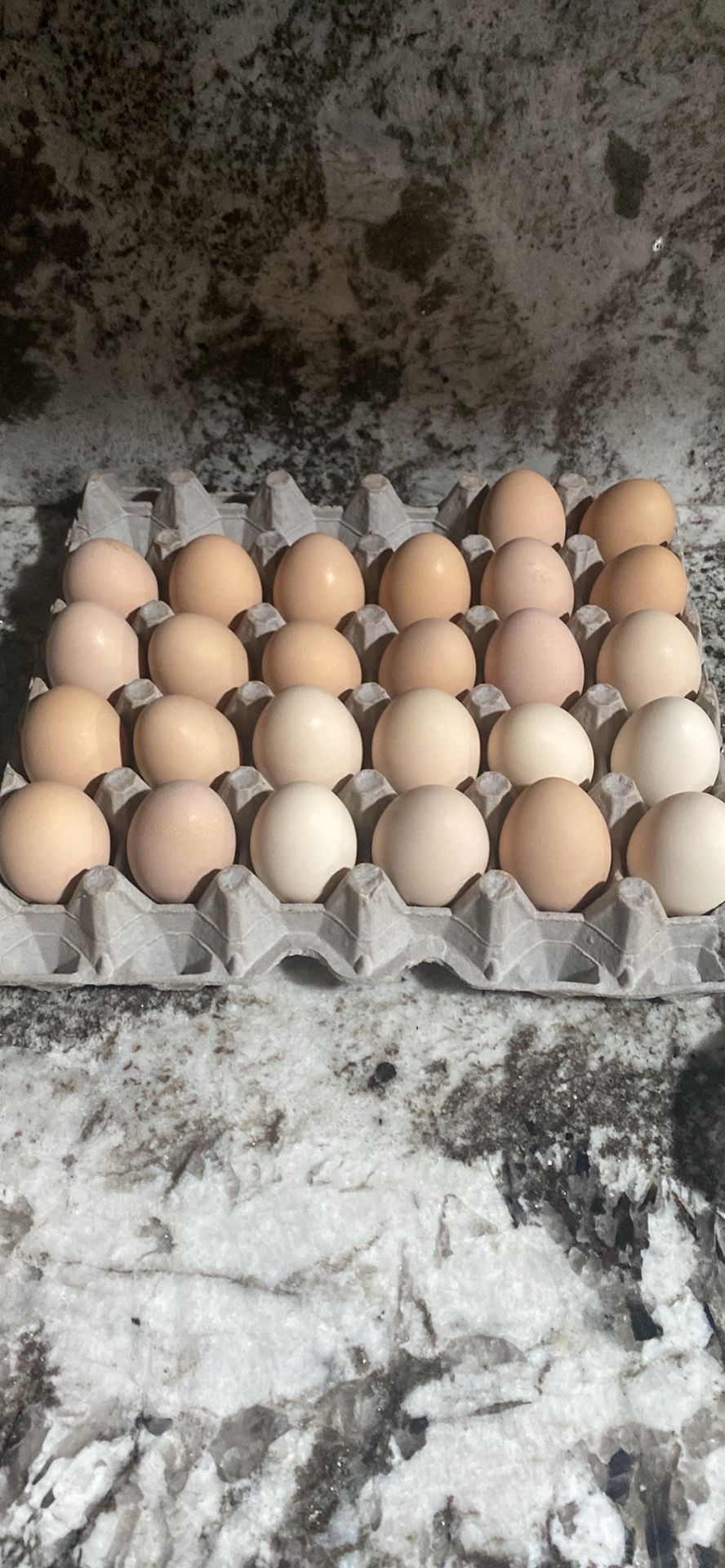 Chicken And Duck Eggs