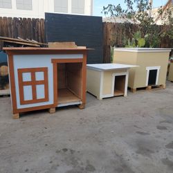 Dog House 
