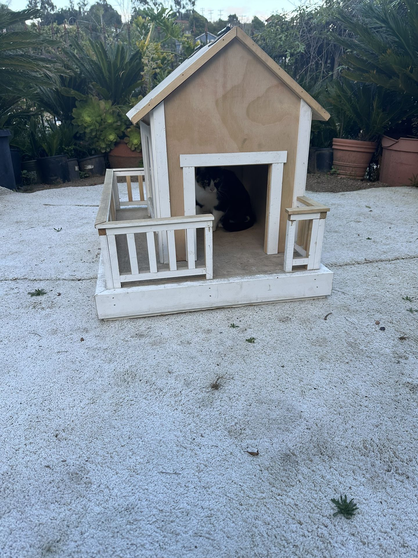 House For Dogs And Cats Pets