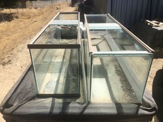 Fish or Reptile tanks