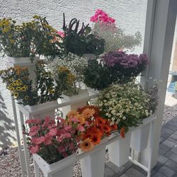 Flower Bloom Bar