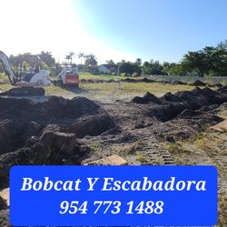 Bobcat Y Escabadora .........