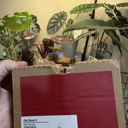 Size 5 Girls Vans/ NEW