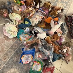 Beanie babies ty 