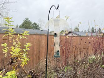 Bird Feeder And Bird Feed Food