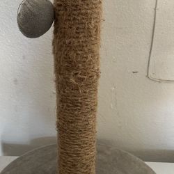 Cat Scratching Post And Bed