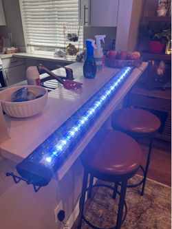 Aquarium light