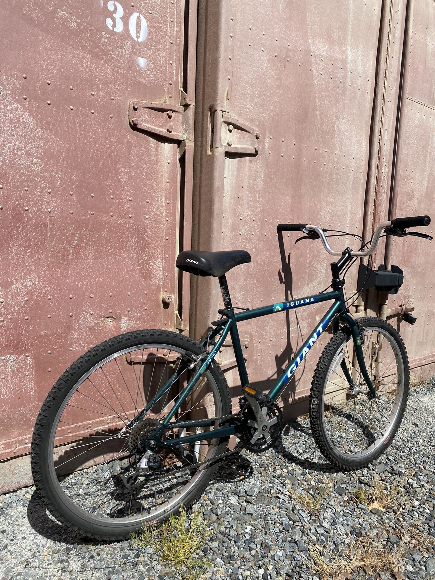 iguana giant bicycle Iguana, 20" Iguana 26inch Giant Iguana 26