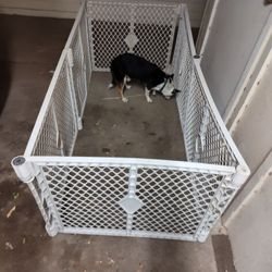 Portable Enclosed Animal Fence