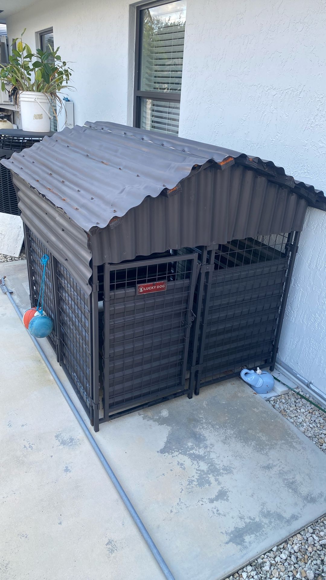 Dog House