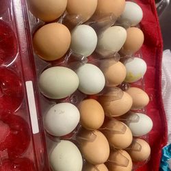 Farm Fresh Eggs  $7