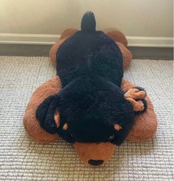 Free toy
