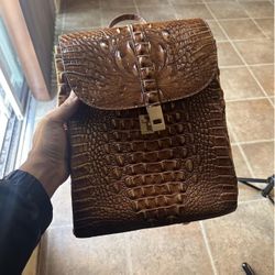 Women’s Animal Book bag 