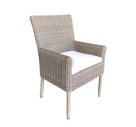New Outside Arm Chair and Cushion