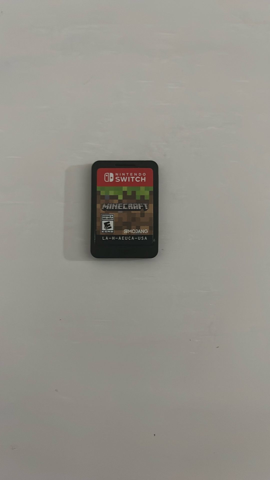 Minecraft!
