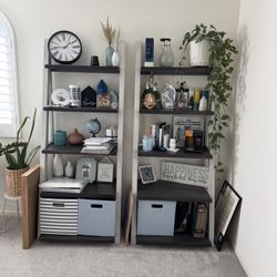 2 Ladder Bookshelves