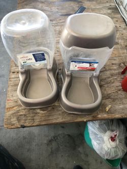 Dog feeder and water dispenser
