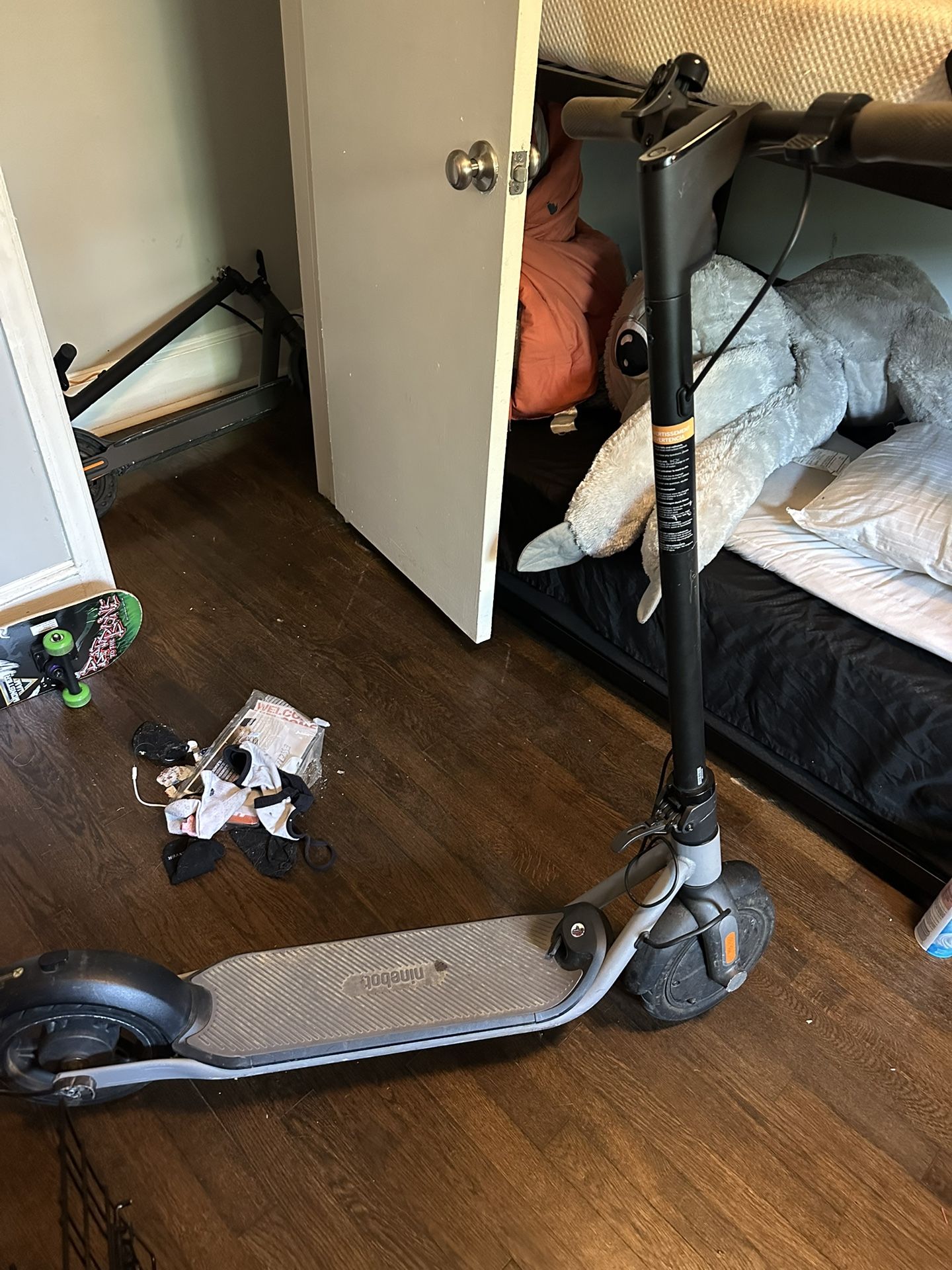 Ninebot Electric Scooter