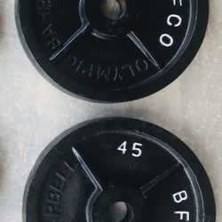 45 Lb Olympic Weights 2 Inch Hole