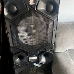 Speaker 