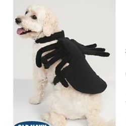 Spider Dog Costume Size M