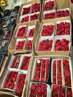 Paquetes De Rosas