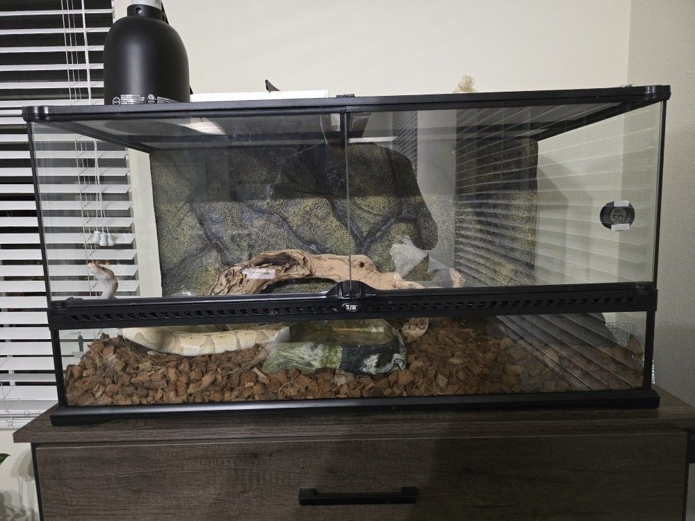 Exo Terra Terrarium 18x18x36