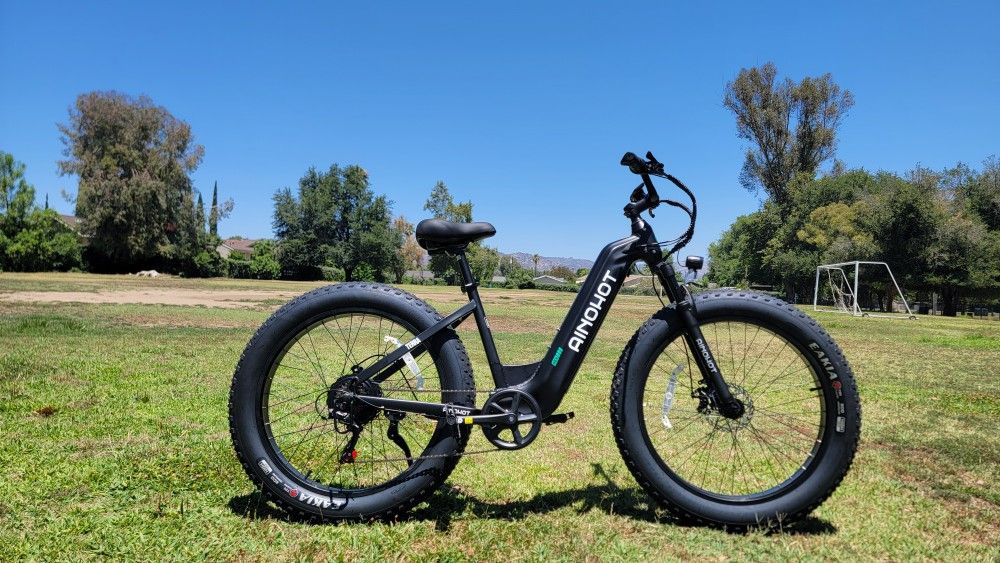 Fat Tire Electric Bike Step Thru 750w
