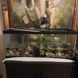 Tank And Accessories