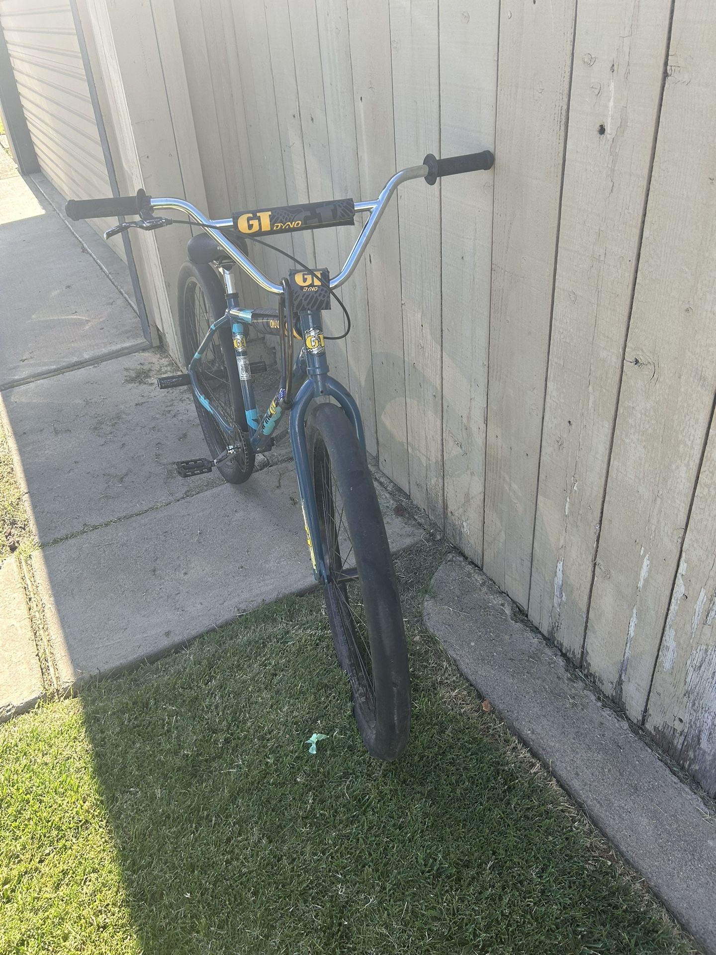 28 Inch Gt Dino