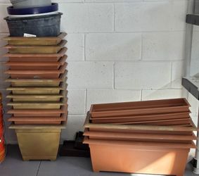 Plastic Planters 