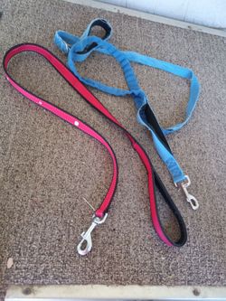 Two Dog Leashes