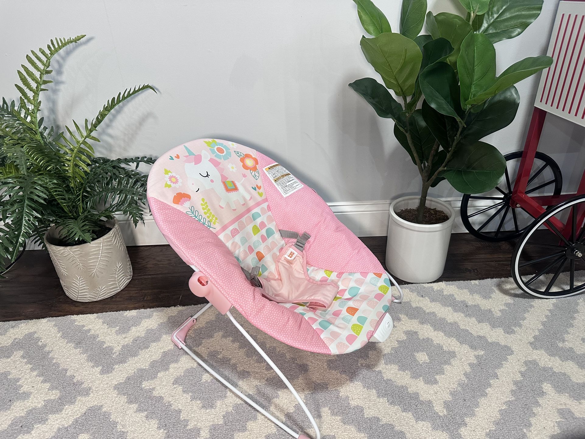 Bright Starts Baby Bouncer-Never Used!