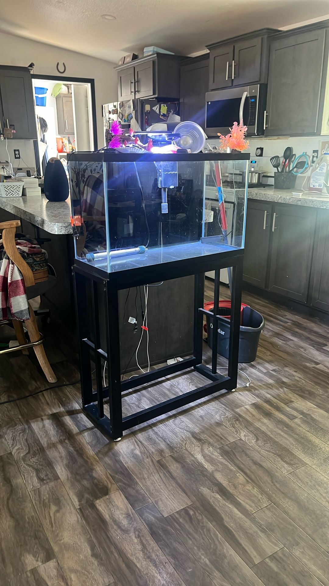 Fish Tank