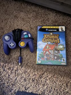 Animal Crossing And Purple Controller