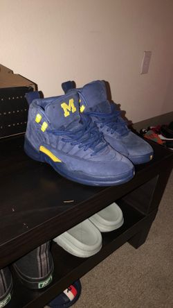 Michigan Jordan 12