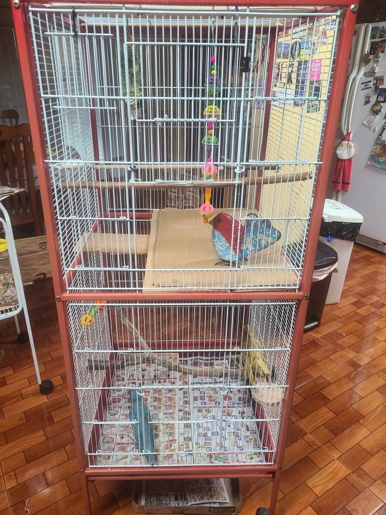 Bird Cage