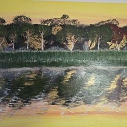hand painted nature scene.. reflection of Odessa fl, swamp