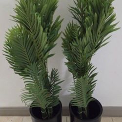 *** NEW LOW PRICE *** PAIR of 4ft Faux Golden Cane Palms in 16in Black Planters @ Lasting Creations