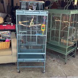 bird cage with toys 