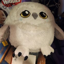 Stuffed Animal