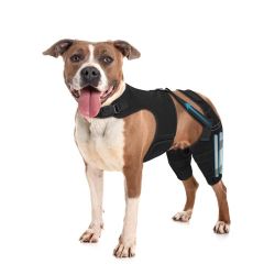 Dog Knee Brace for Torn ACL Hind Leg, Adjustable Dog Leg Braces for Back Leg with 4 Metal Stabilizers Strong Joint Support to Reduce Pain from Luxatin
