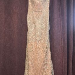 Sequin Gown - Medium or Size 6