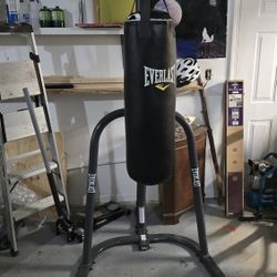 Everlast Heavy Punching Bag With Metal Frame. Comes With Gloves
