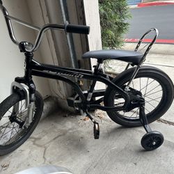 Schwinn Lil Sting Ray 