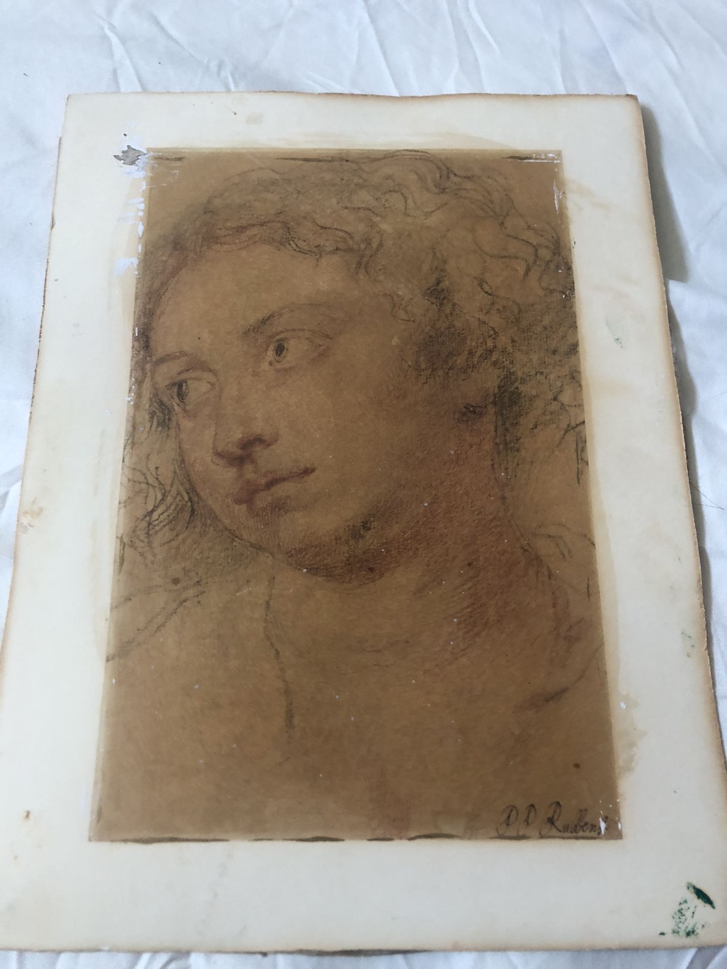 Head Of A Woman Famous Artist From 1600 Peter Paul Rubbens