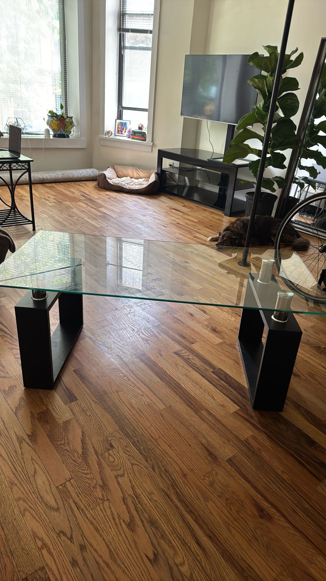 Glass Table Living Room Table