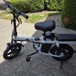 Electric Bike ENGWE T-14