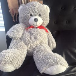 Gray Teddy Bear