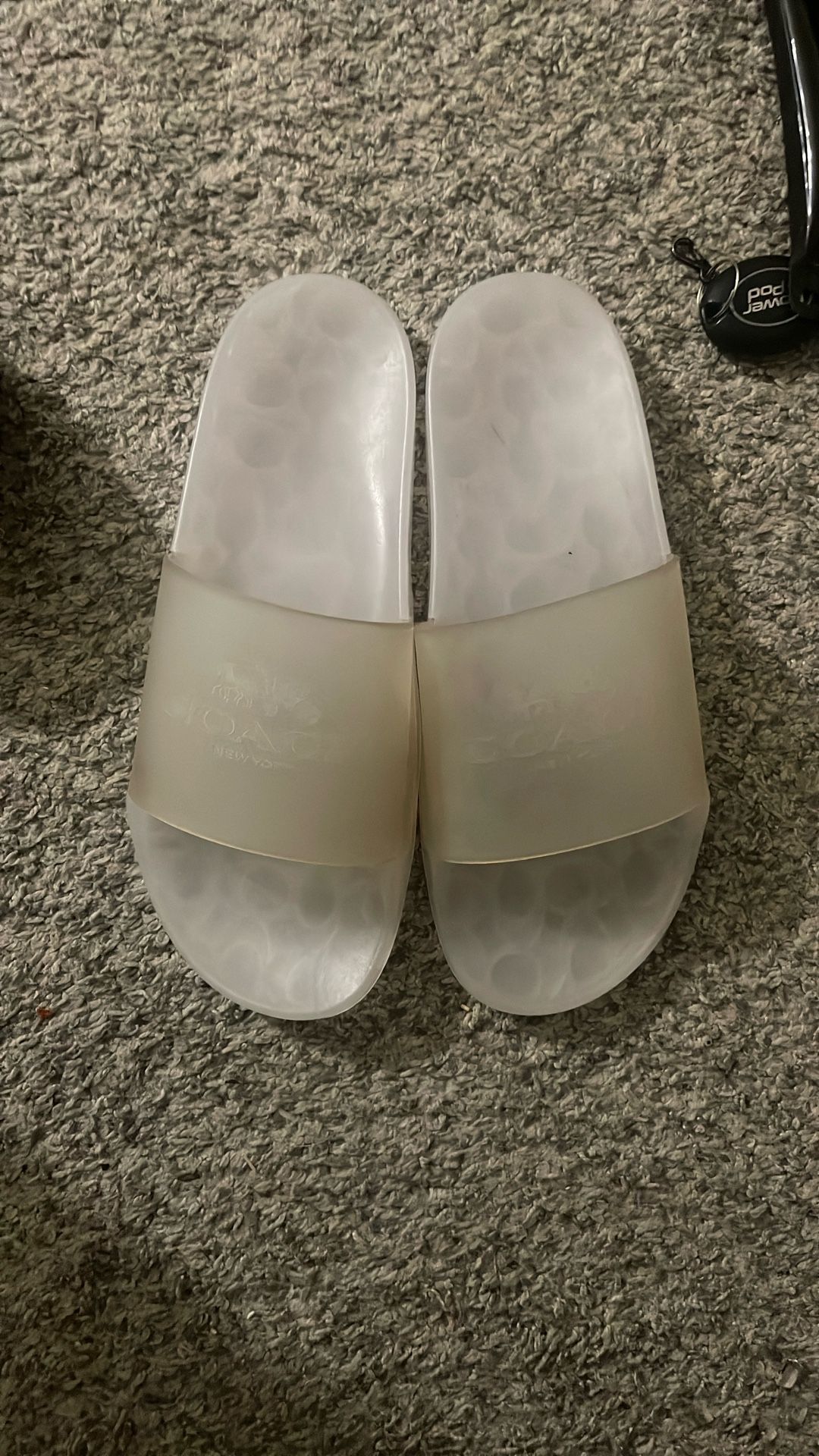 coach pool slides
